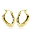 Alluring Designed Silver Hoop Earring HO-2509